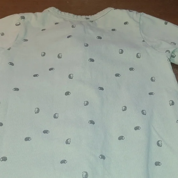 2/$5 Light Mint Footed Baby One-Piece with Footies Featuring Hedgehogs - Picture 5 of 6